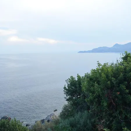 La Scogliera
